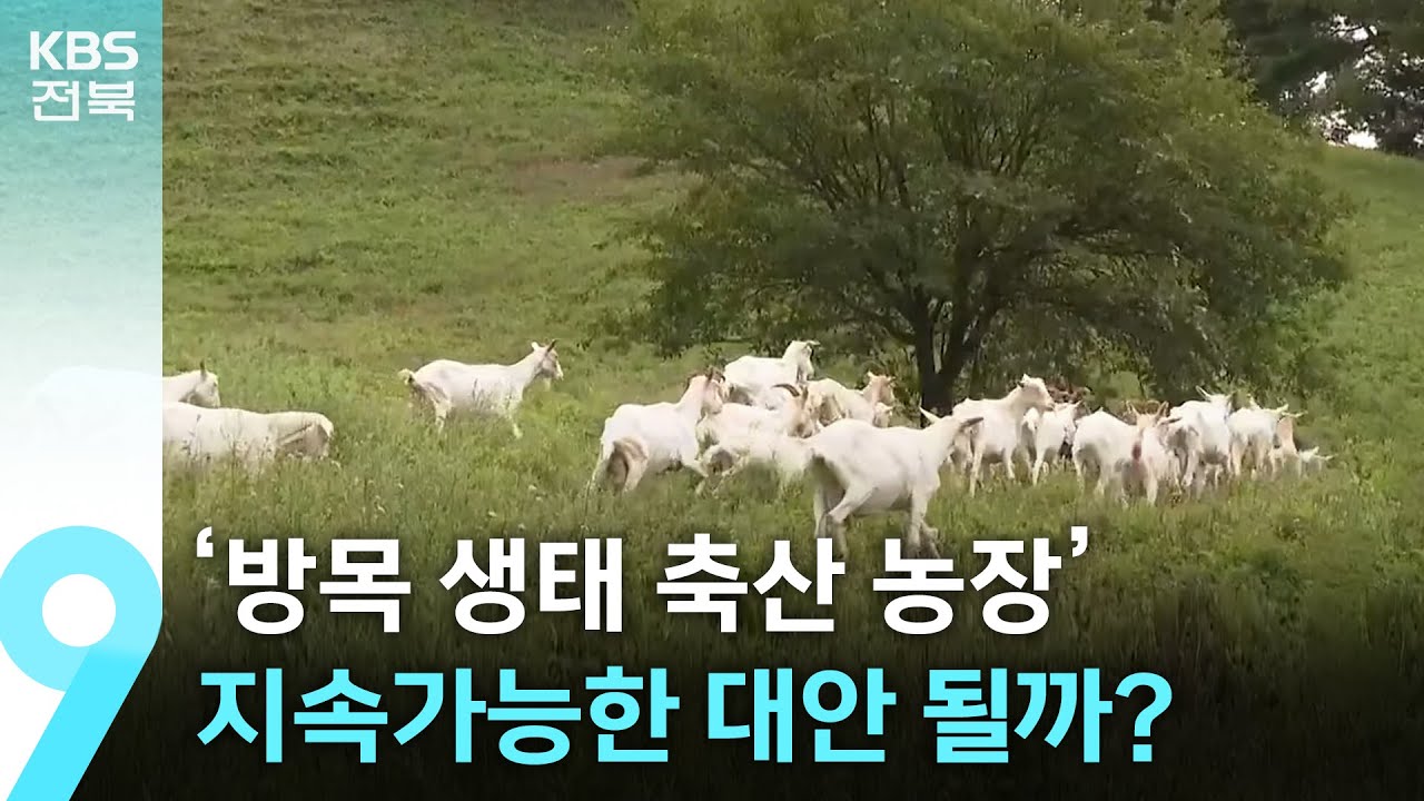 &lsquo;방목 생태 축산 농장&rsquo;&hellip;지속가능한 대안 될까? / KBS  2025.10.10.