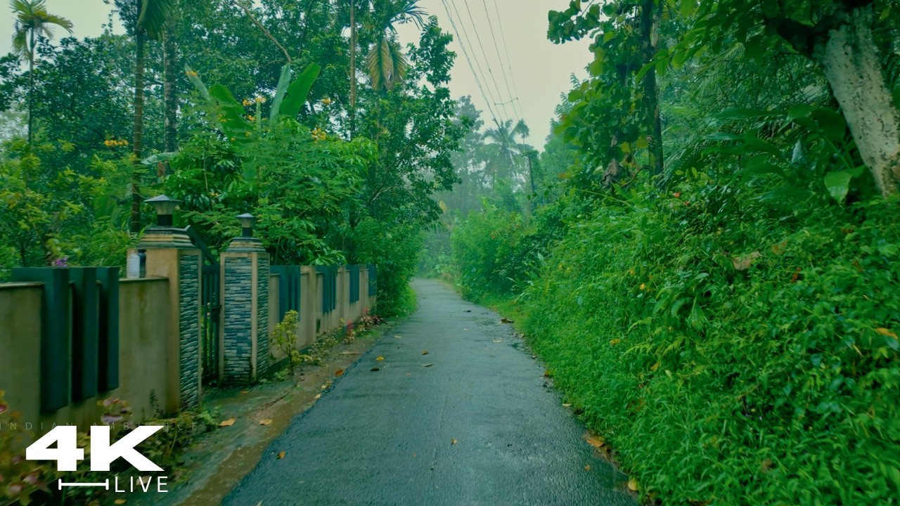 Whispering Winds & Rain: A Quiet Walk in the Emerald Village | ASMR Village Rain Walk: Deep Sleep