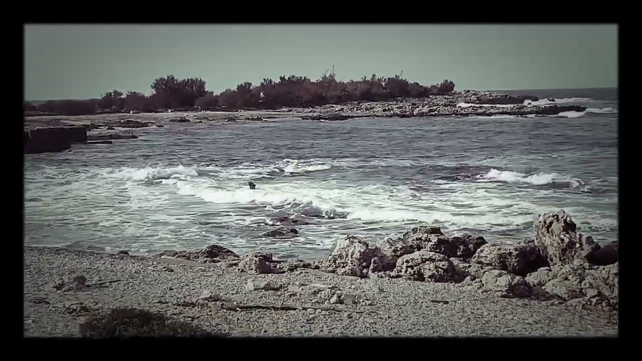 avvistamento sirena a capogallo.(Palermo)