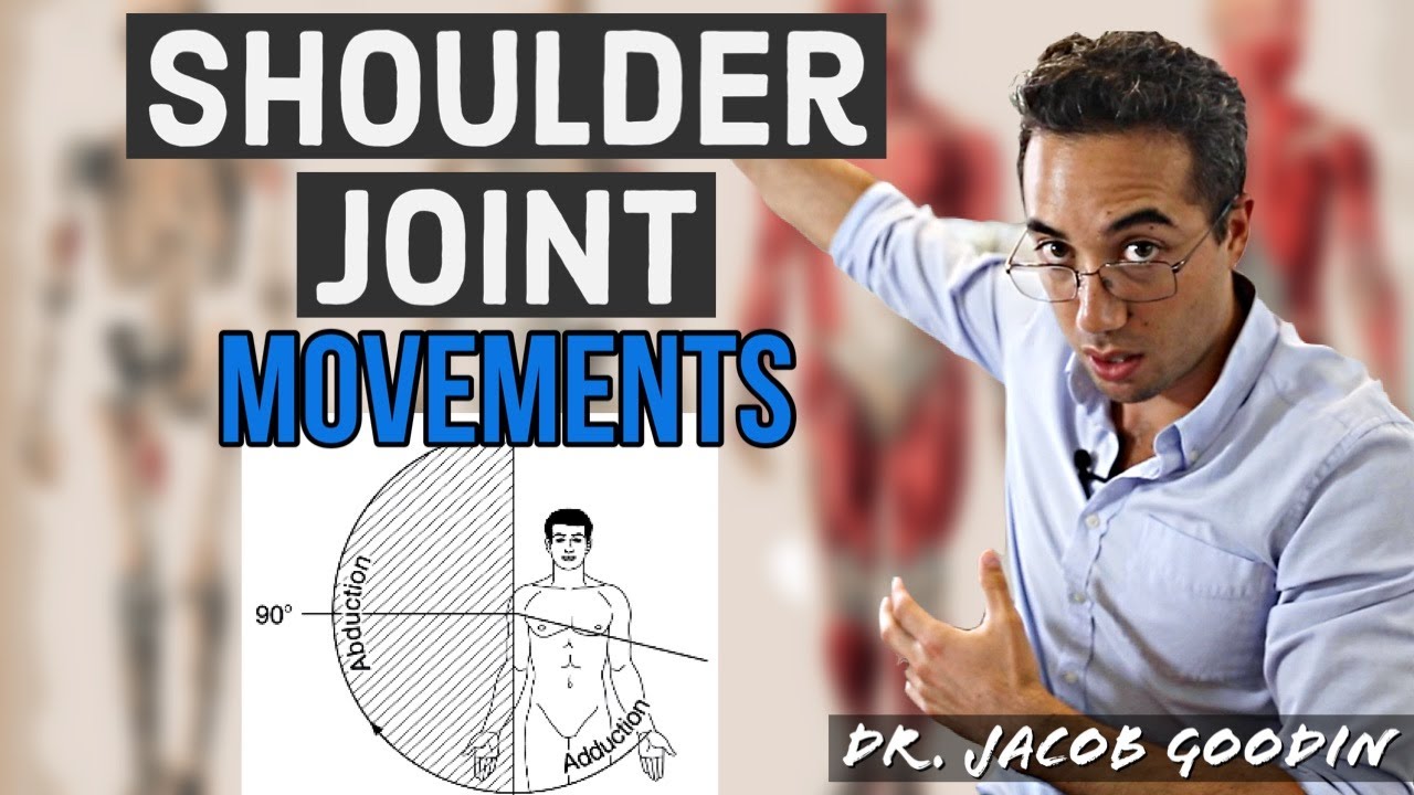 Shoulder Joint Anatomy: Joint Movements