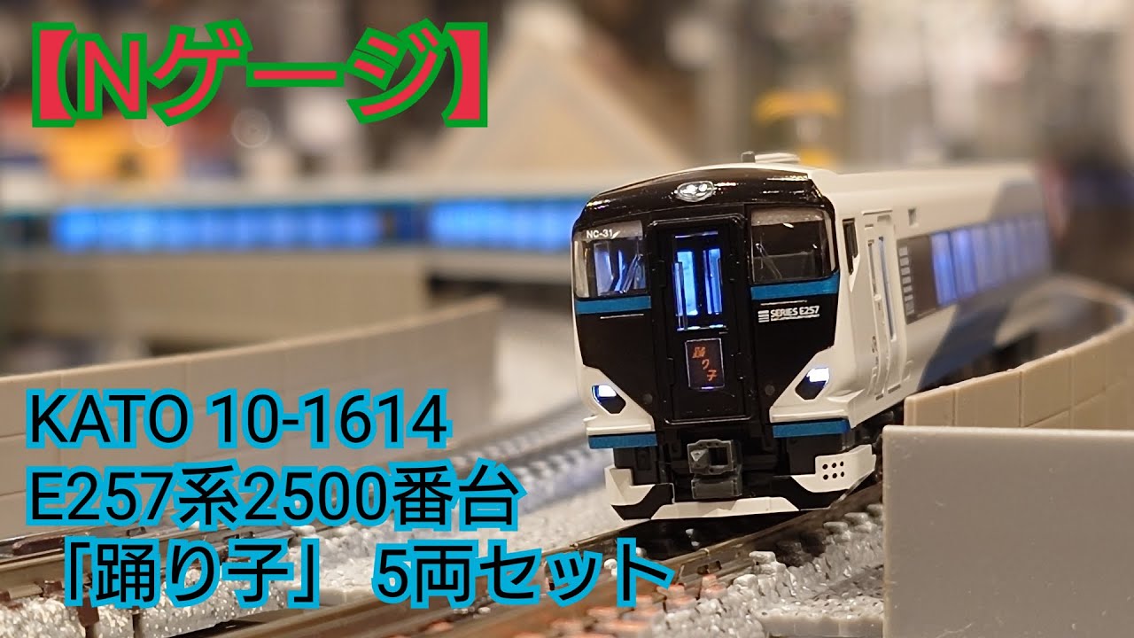【Nゲージ】KATO 10-1614 E257系2500番台「踊り子」5両セット 開封してみた