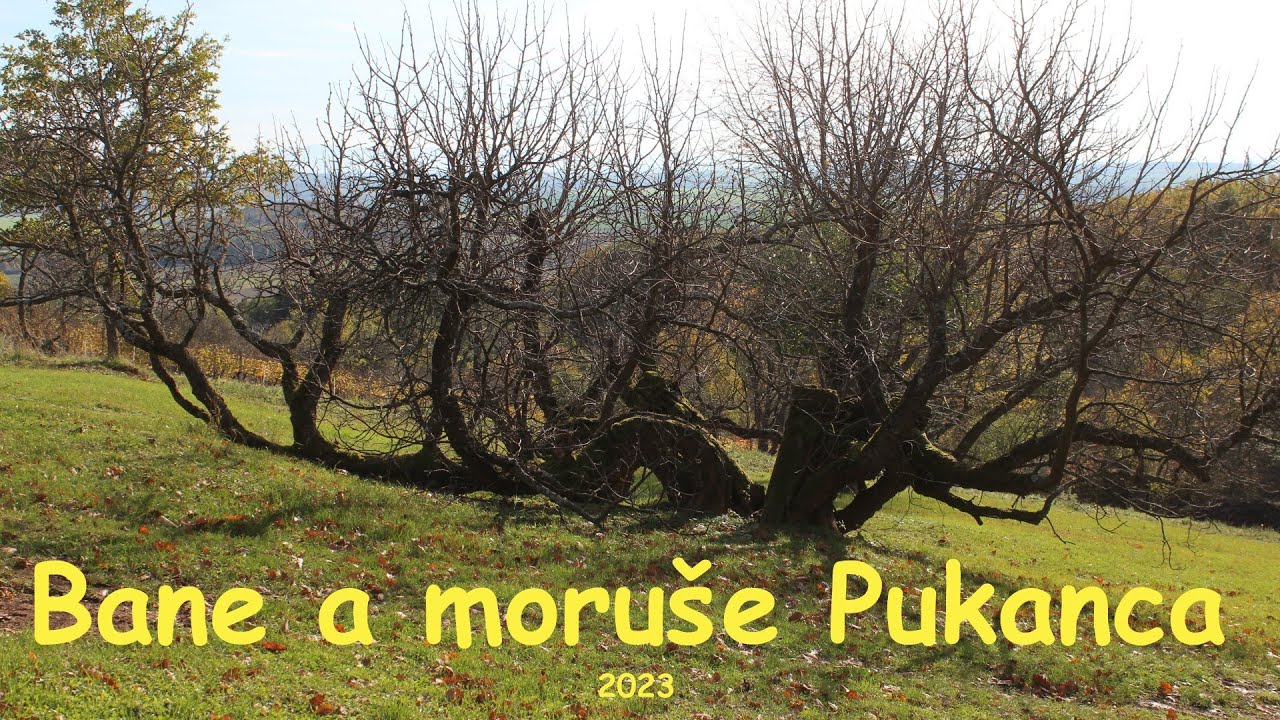 Bludárium – Štiavnické vrchy (Bane a moruše Pukanca)