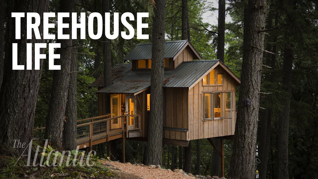 Would You Live in a Treehouse?