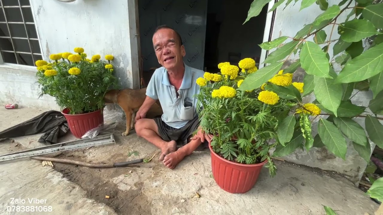 Chú Hải lùn người già nêu đơn hôm nay nhận quà tết #haivitmoinhat #chuhailun #nguoigianeodon