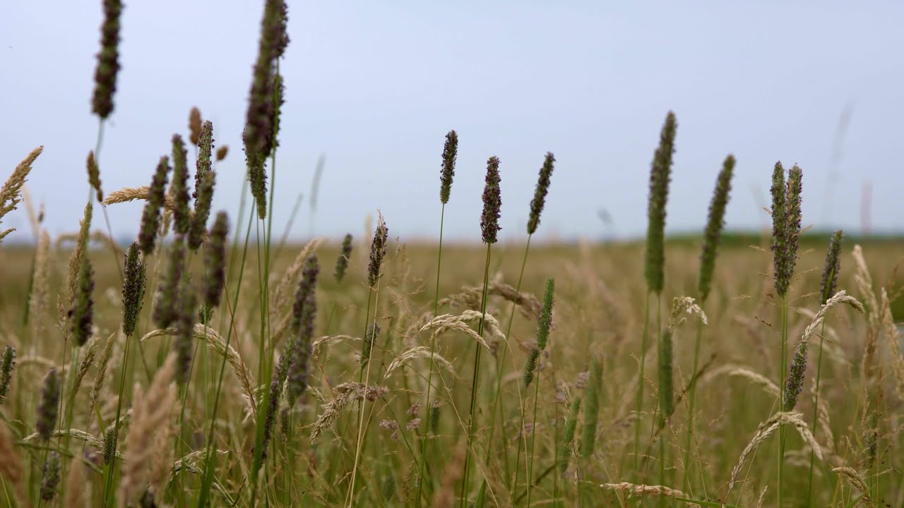 Het Verdwenen Vliegveld - Aflevering 2: Achter de schermen op het vliegveld