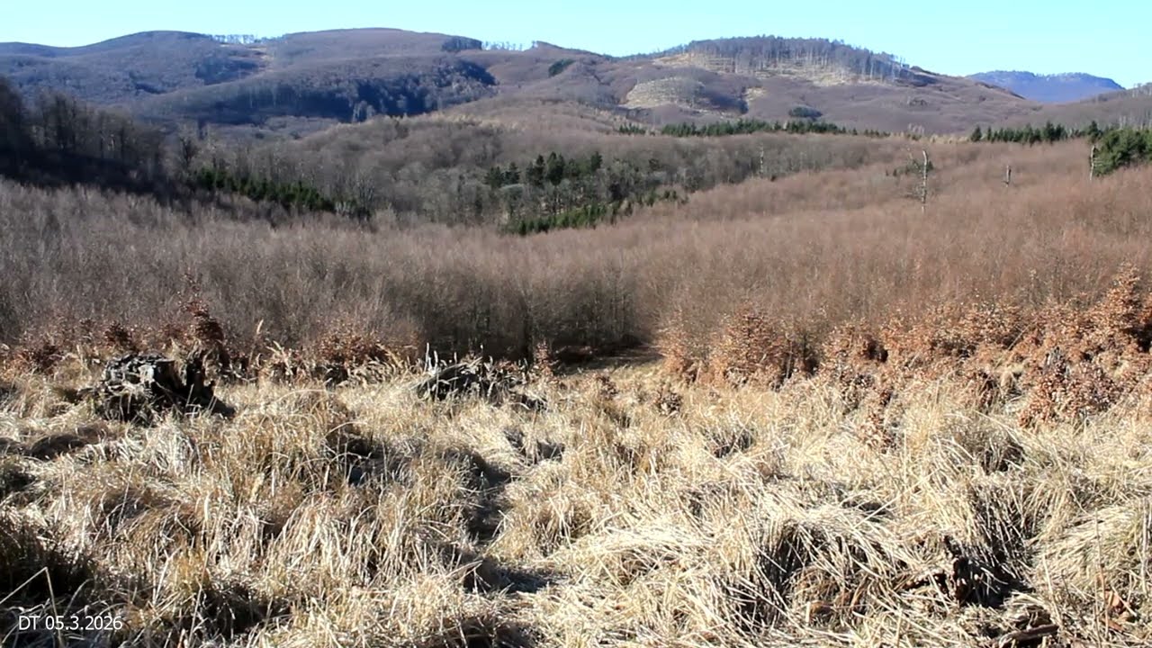 Male Karpaty - Cierna skala - Vidlarova dolina