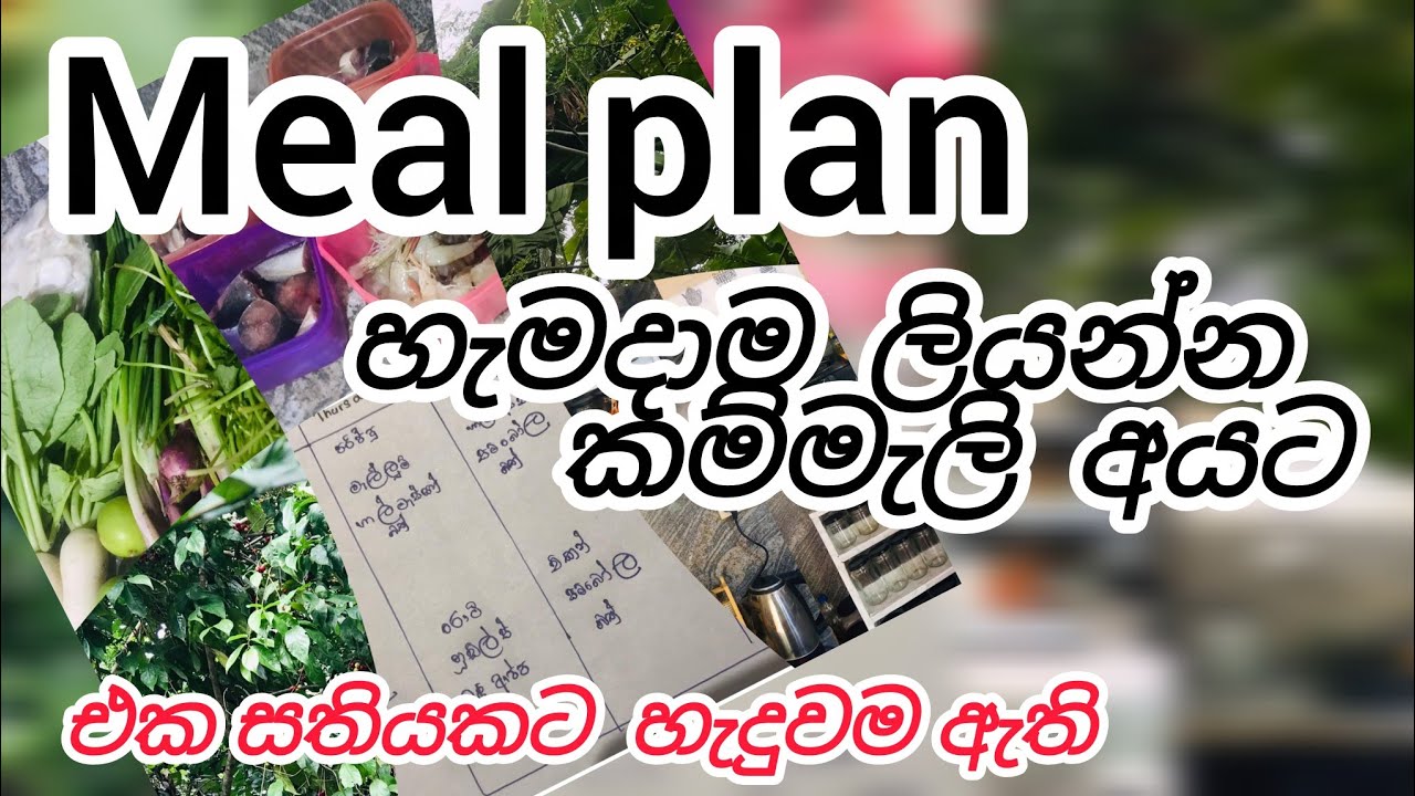 හැමදාටම ගැළපෙන meal plan එකක් හදමු 