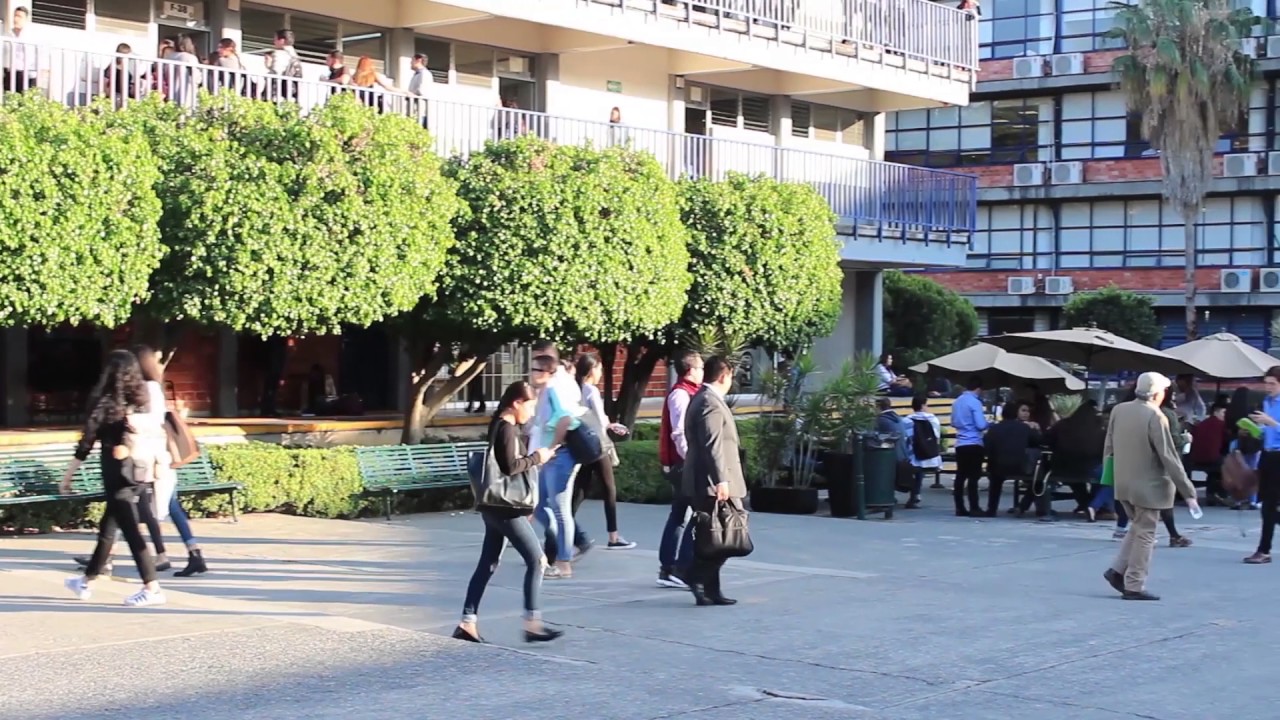 Licenciatura en Derecho, Universidad de Guadalajara