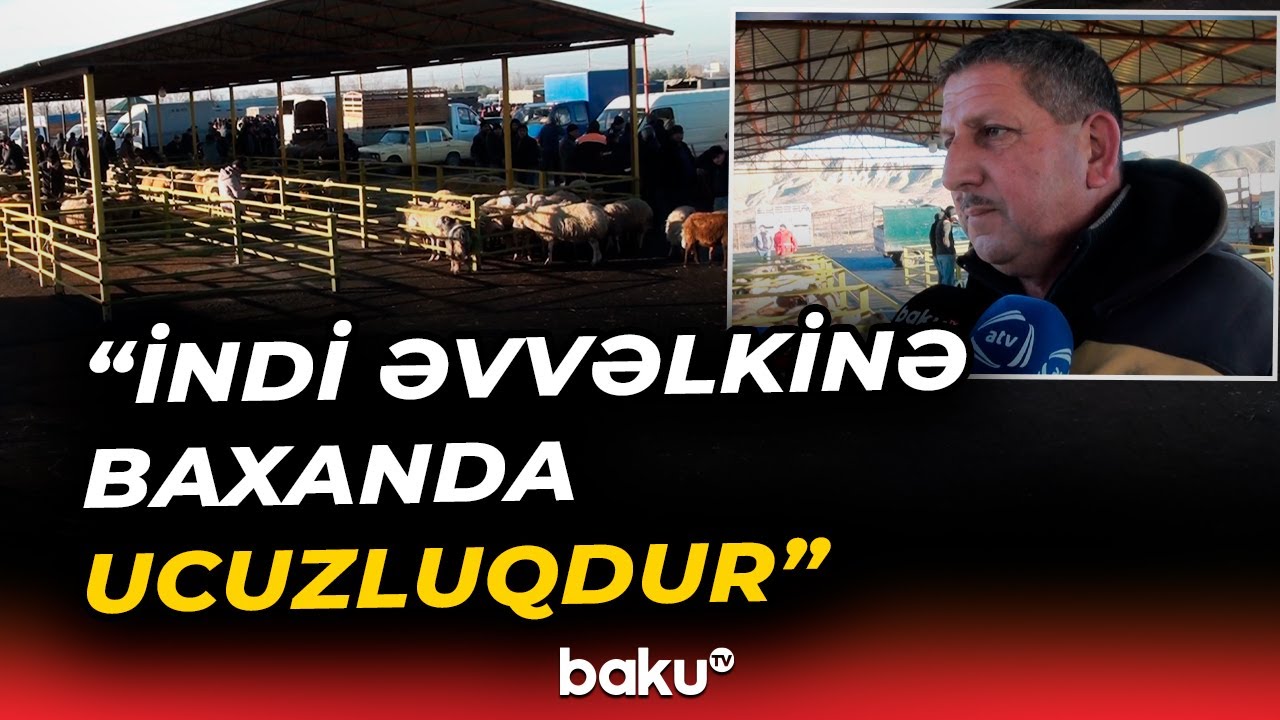 G&ouml;y&ccedil;ayda heyvan bazarı fəaliyyətə başladı - Baku TV
