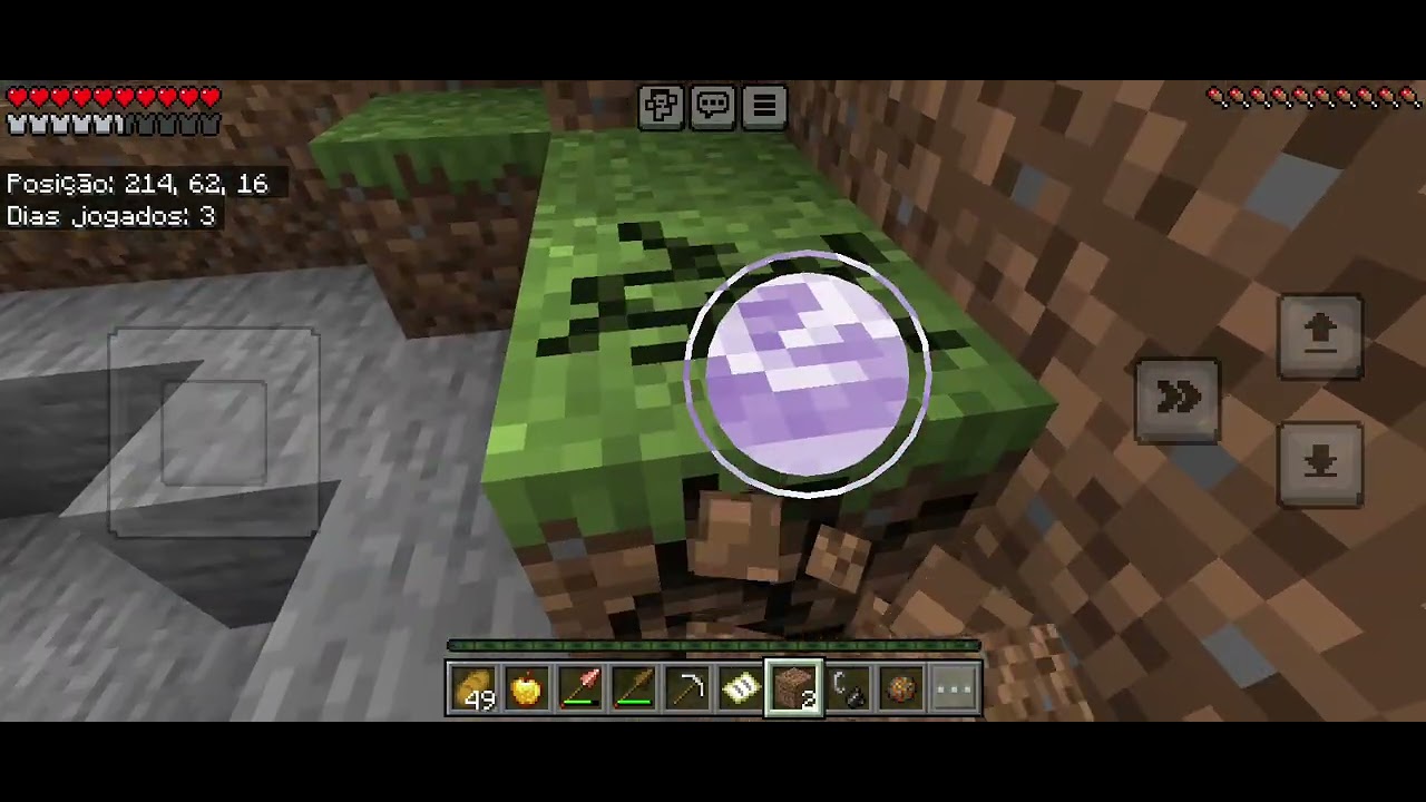 Segundo episódio de #minecraft