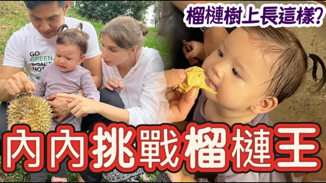 內內的榴槤園初體驗｜另類親子小旅行｜一家人都「榴槤」忘返
