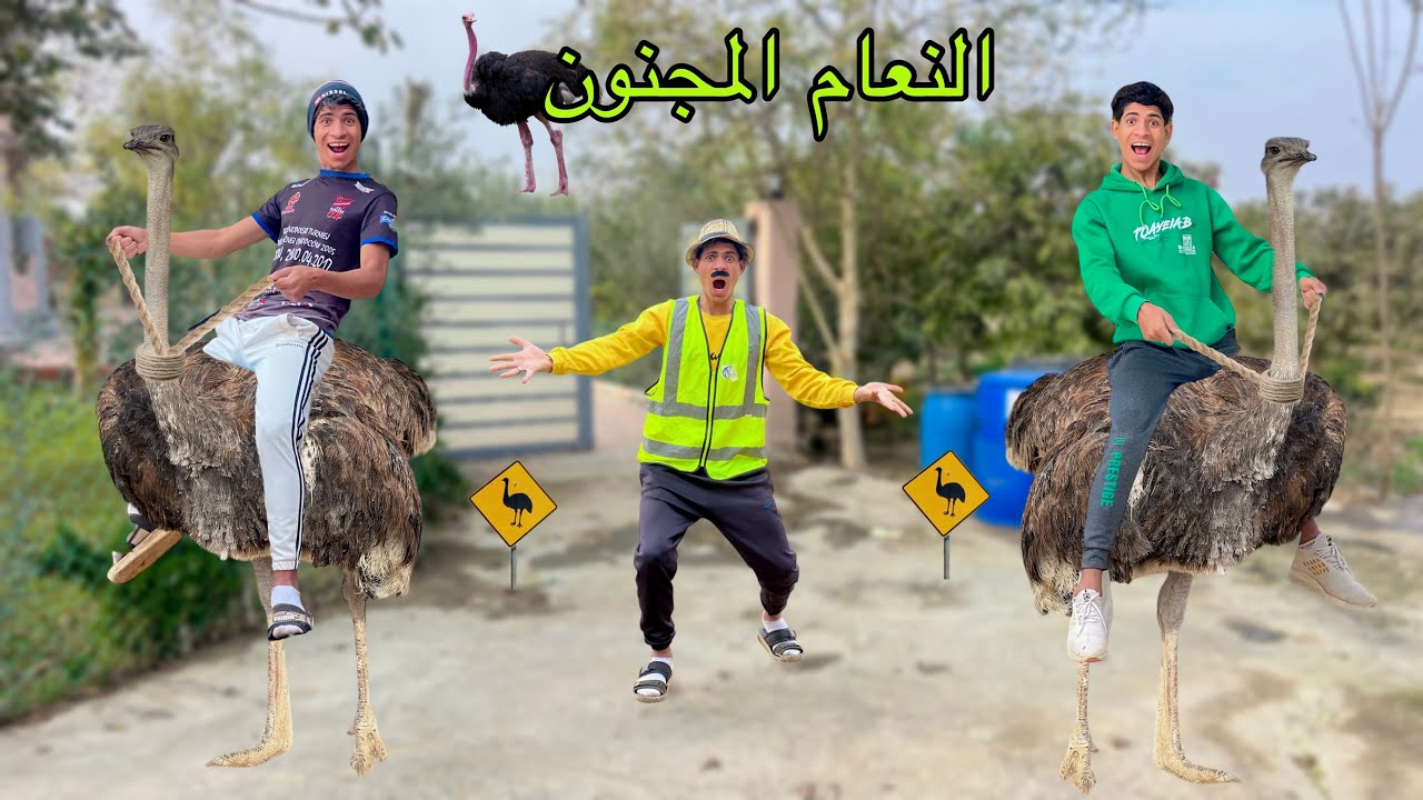 لما تشتغل علي نعام انت واخوك الصغير وتركبوا عليه 🦃😂| علاء حسين