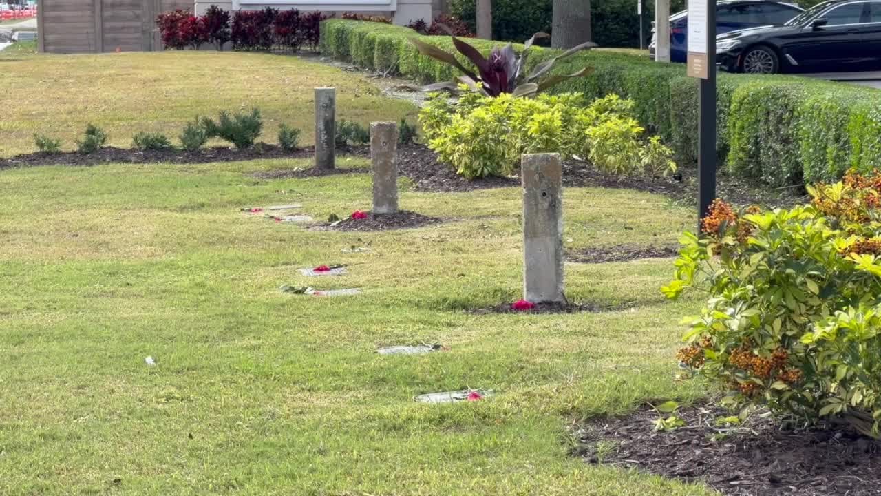 DNA testing may soon uncover the story behind segregated Black graves in Collier County