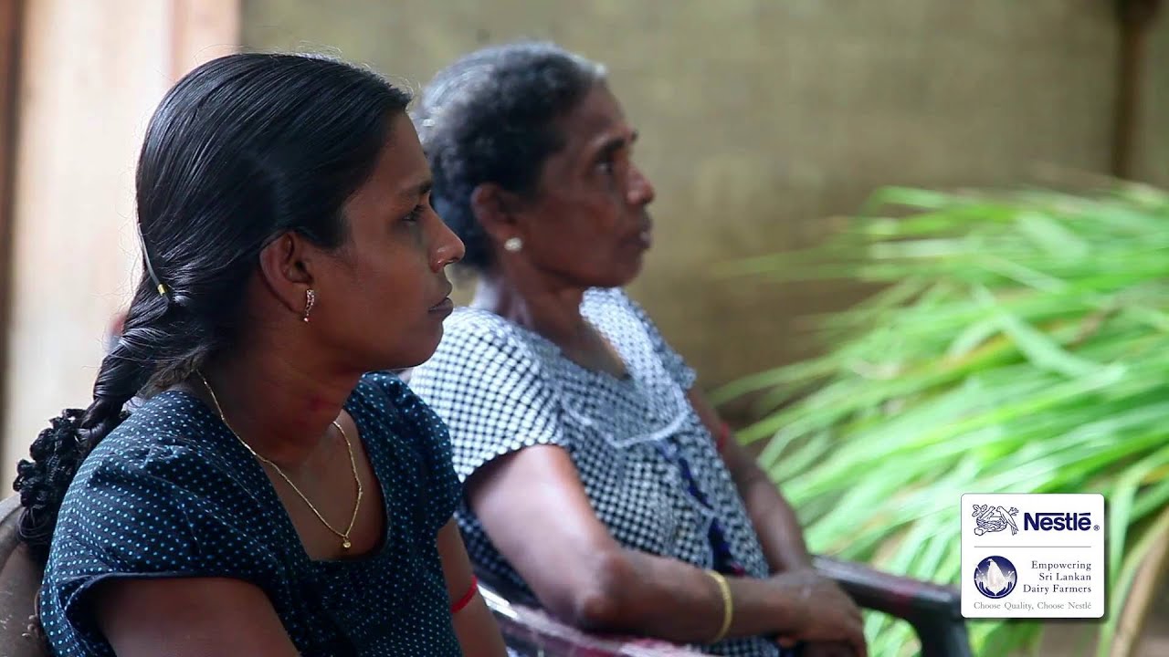 Nestlé Empowering Sri Lankan Dairy Farmers