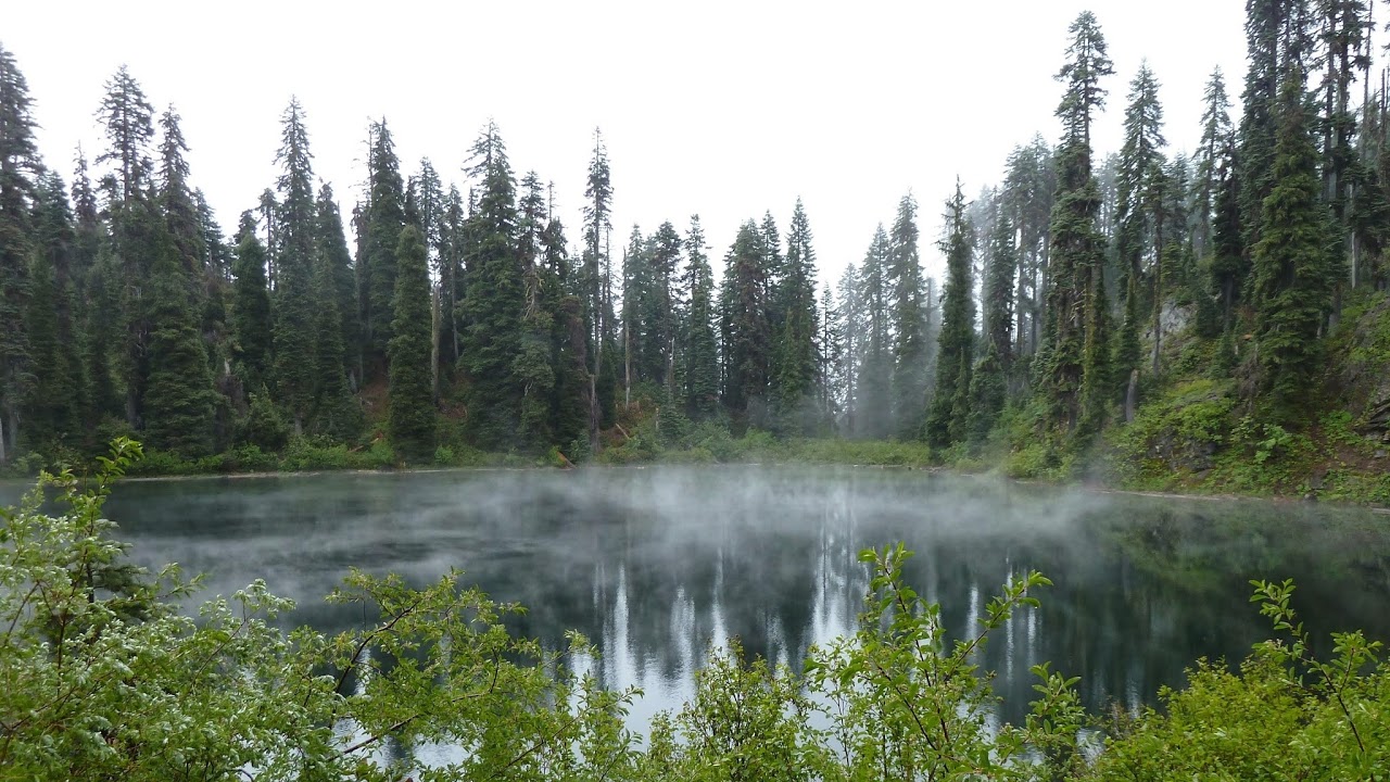 How much jelly do you need to beat Cosmic Shake? Join the stream to find out!