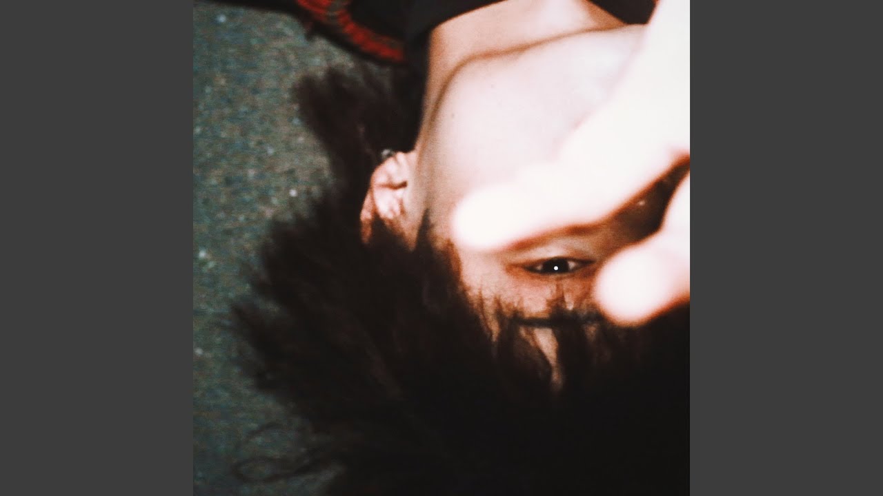 熱帯びたテトラ