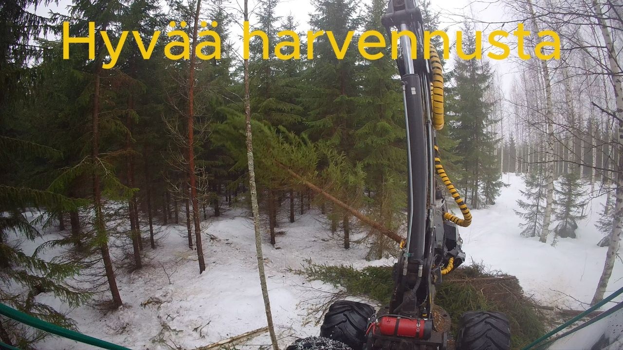 Hyvää harvennusta Prosilva S3 & Kesla 19