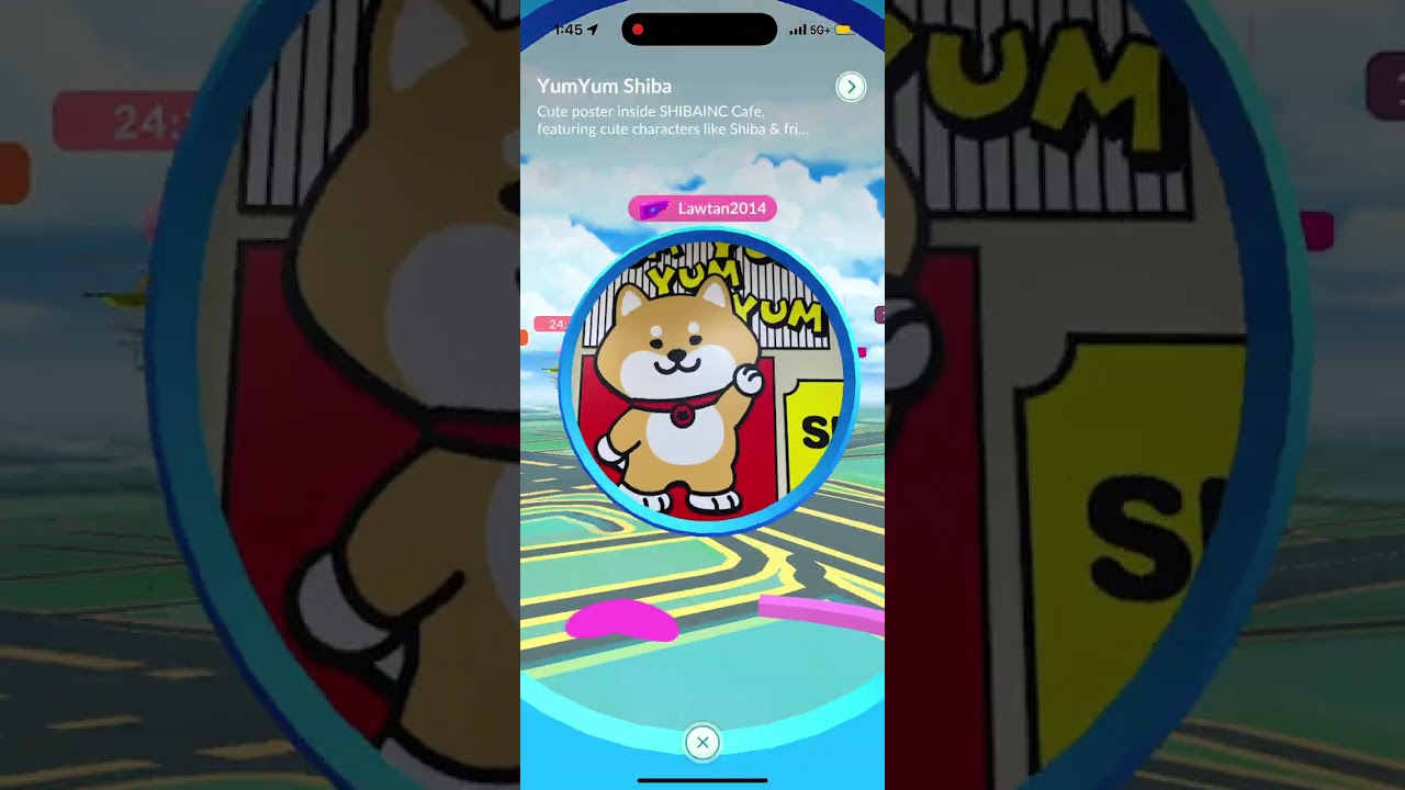 Pokémon-hunting
