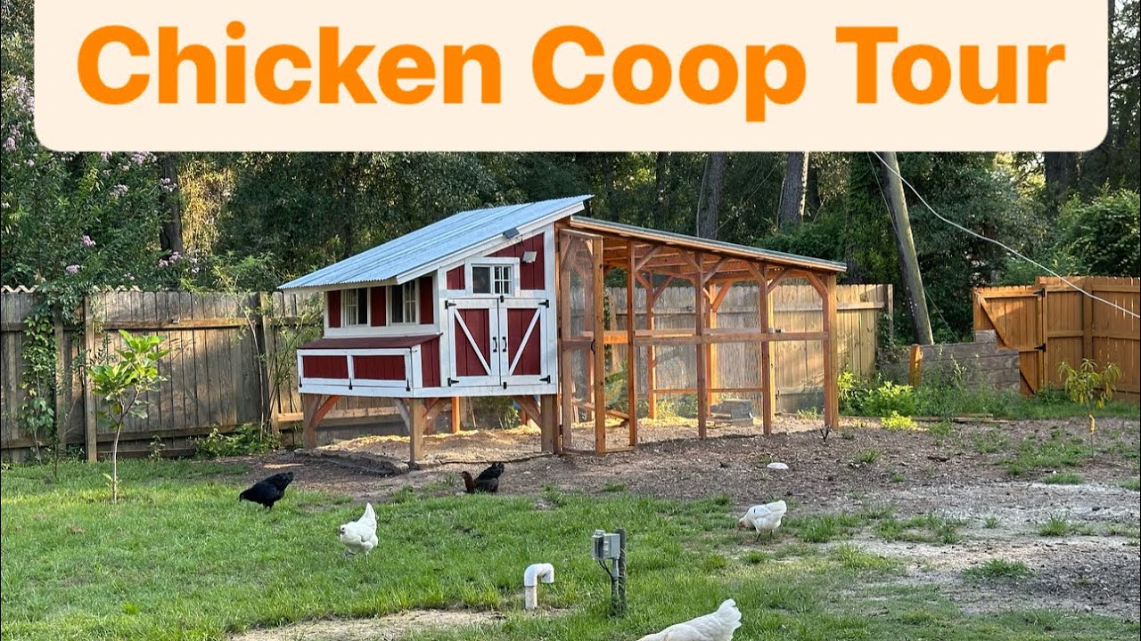 Chicken Coop Tour