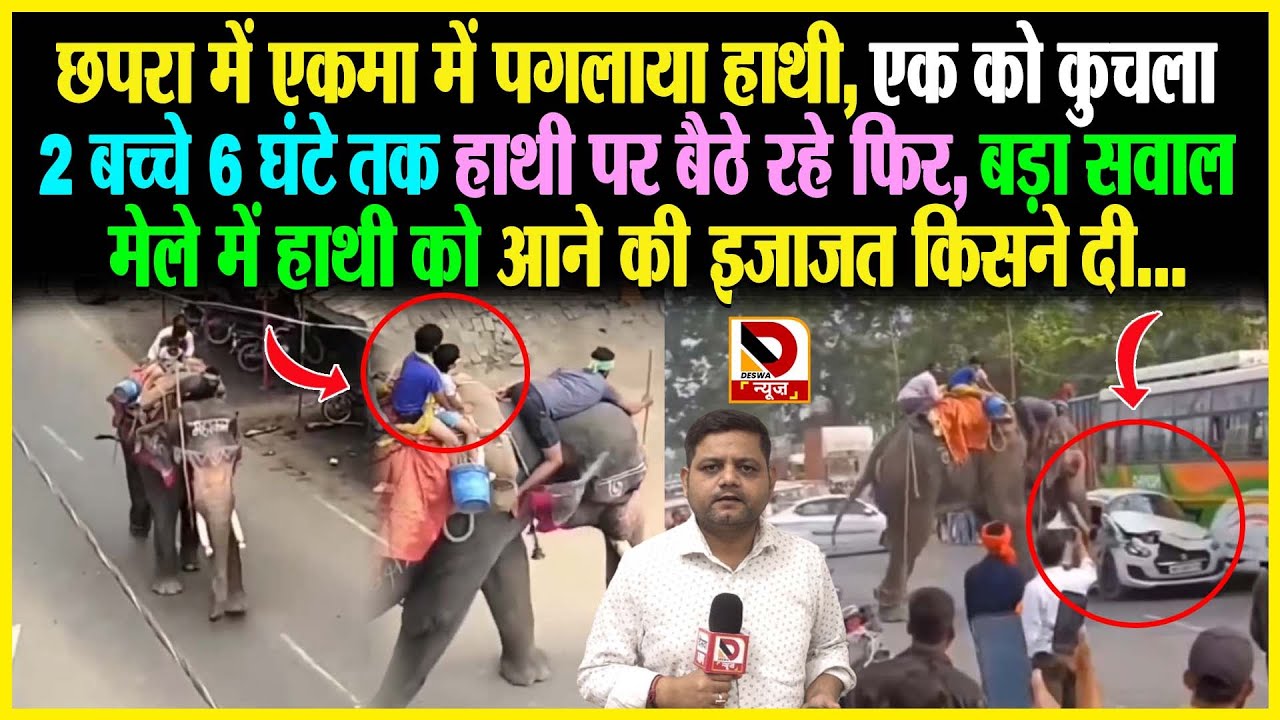छपरा में एकमा में पगलाया हाथी, एक को कु/चला 2 बच्चे 6 घंटे तक हाथी पर बैठे रहे फिर, बड़ा सवाल