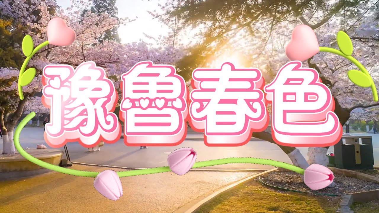 豫魯春色、國色牡丹：濟南趵突泉、青島棧橋、臨沂琅邪琊古城、荷澤10天賞花之旅