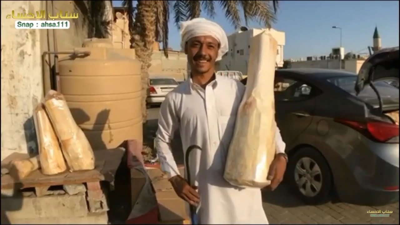 معقولة جذب النخيل يستخرجونه بهالطريقة ؟! الجمار  | سناب الاحساء