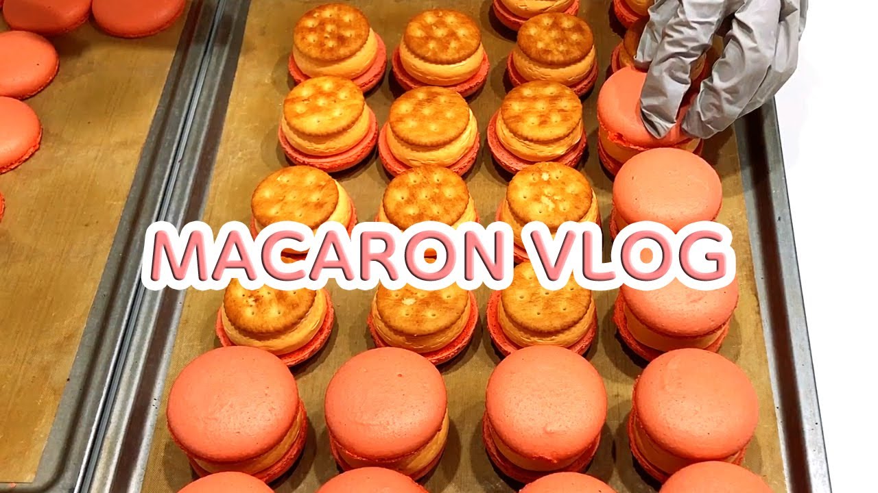 eng sub) Мой любимый вкус - роскошный сыр | macaronvlog