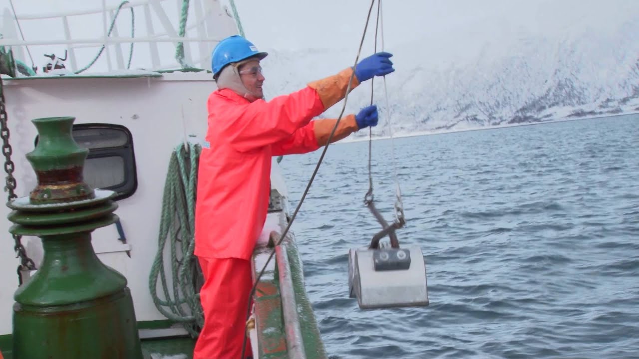 RESEARCH METHODS - Sediment Samples