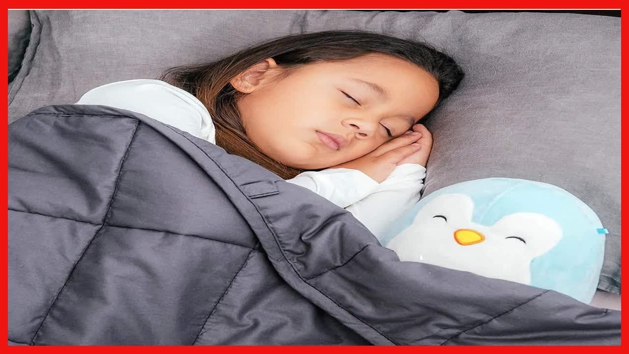 Bed Buddy Weighted Blanket for Kids - Weighted Blanket Twin Size - Heavy Blanket with Weighted Glass