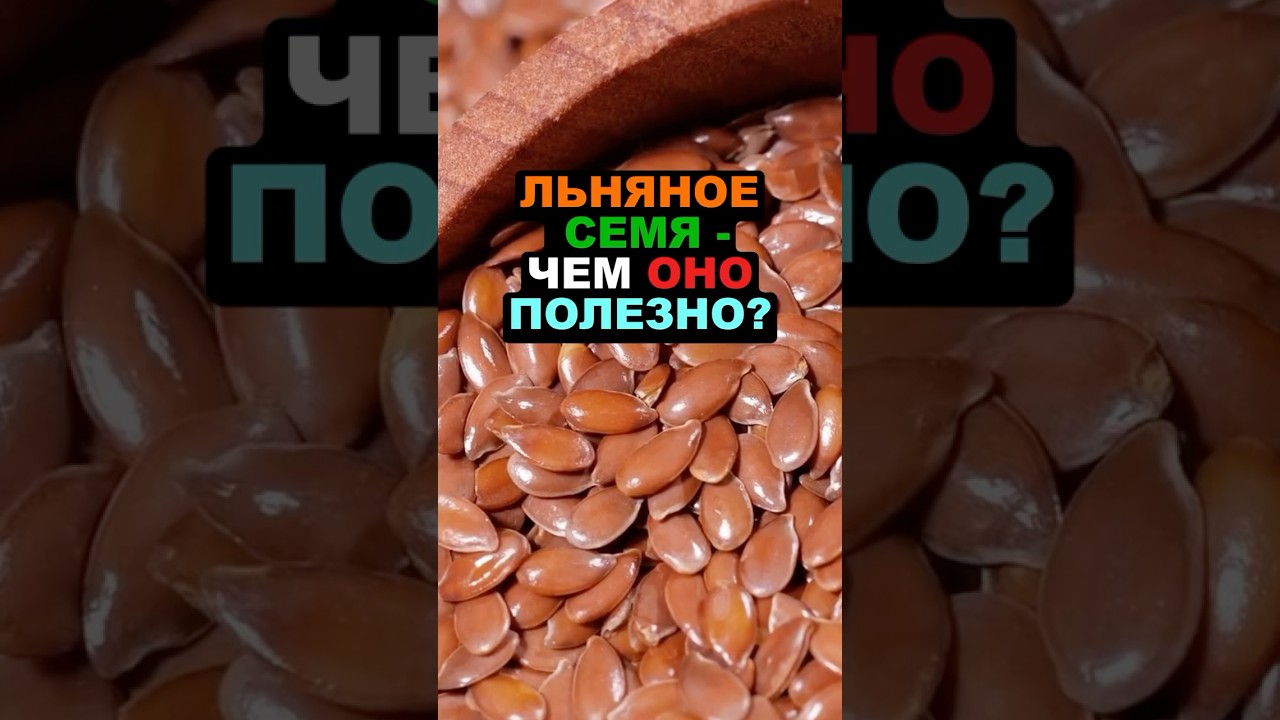 Льняные семена: чем они полезны, как правильно употреблять и почему их стоит есть каждый день!
