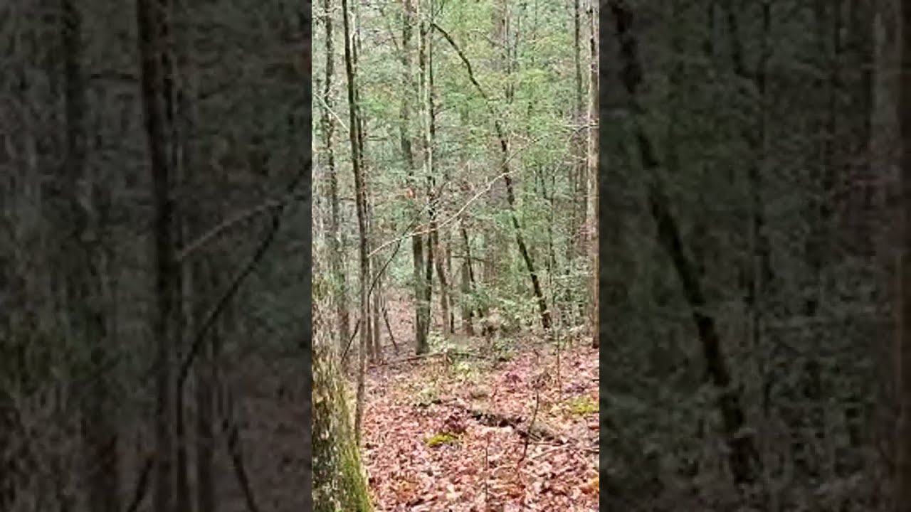 travis strike is live!