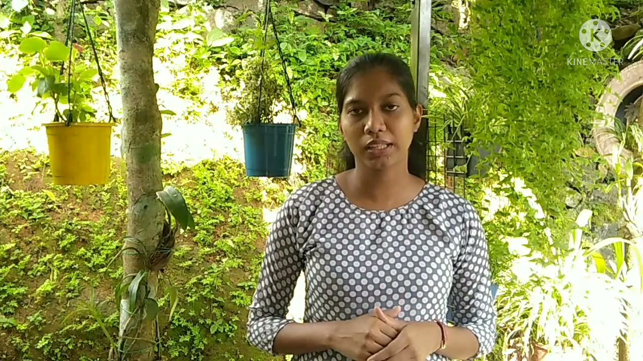 പരിഹാസങ്ങളെ അതിജീവിച്ച് വിജയം നേടിയവർ, നിങ്ങൾക്കും വിജയിക്കാം...