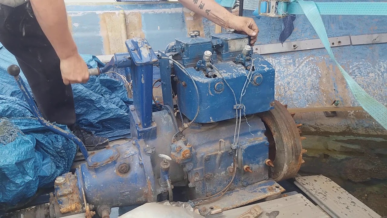 Petter 2 cylinder diesel engine hand start