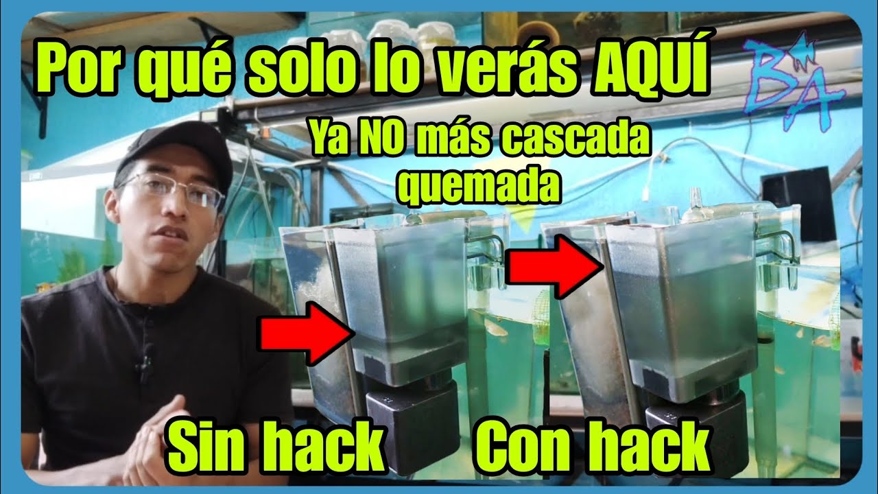 El truco infalible para proteger tu filtro de cascada de quemarse en el acuario Bioacuatixz