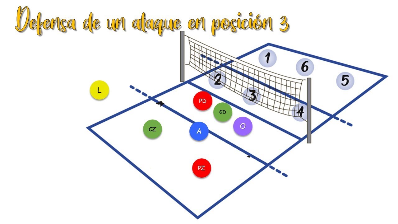 Rotación en vóley / falta de posición / defender y atacar
