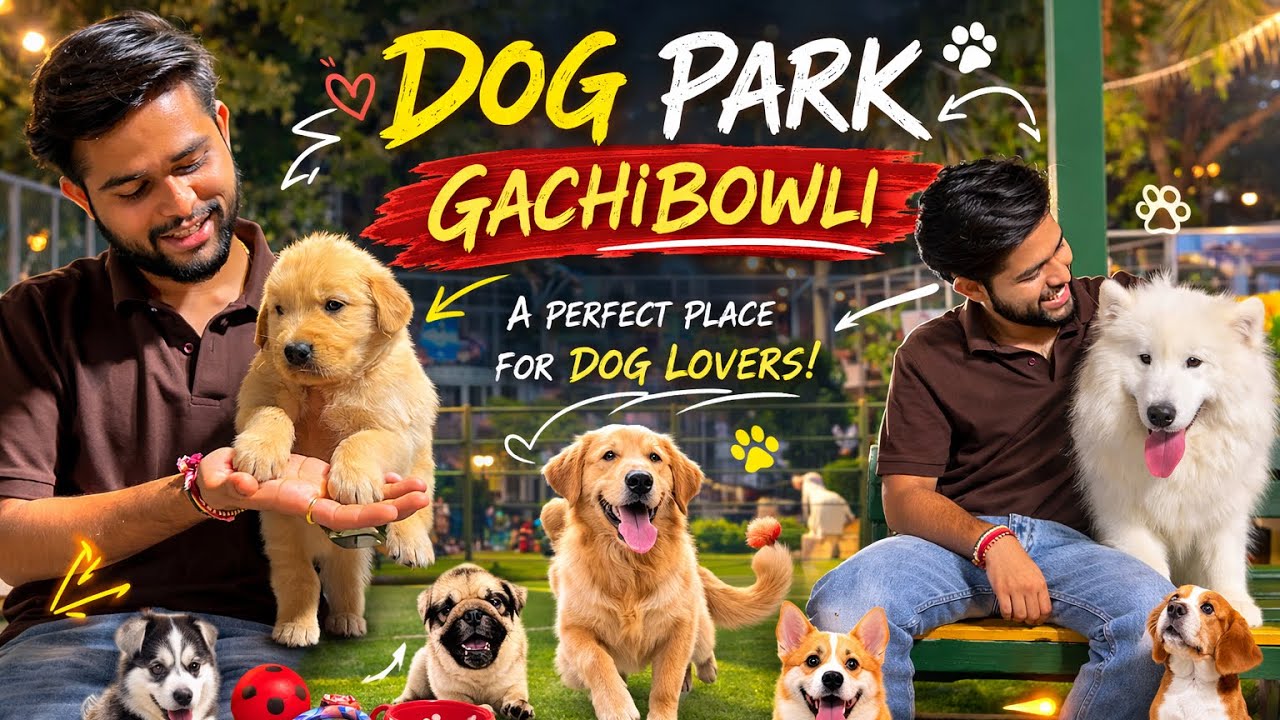 Dog Park Gachibowli🐶|Hyderabad’s CUTEST Dog Spot Ever🤩. #dog #pets #trending #viral #shorts #vlog