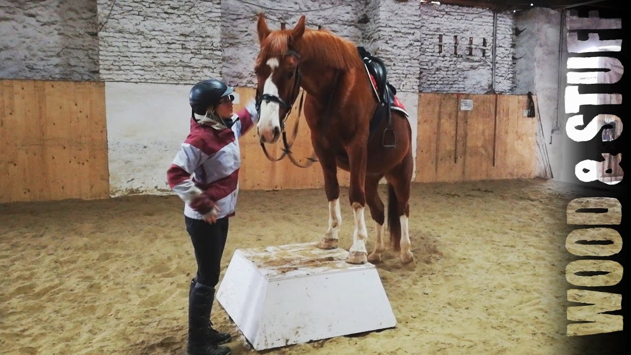 Building a horse pedestal