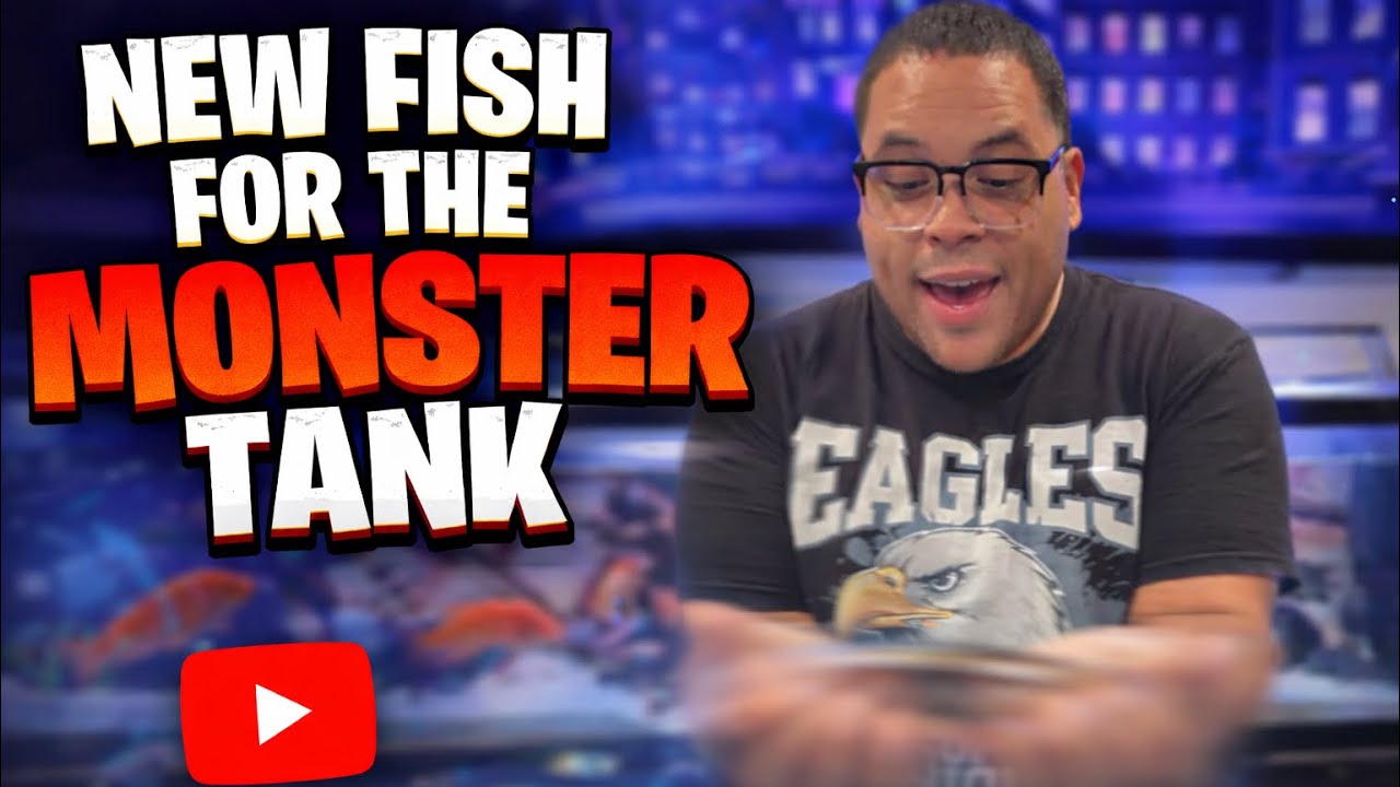 Adding New Giant Fish to my 150 gallon monster tank