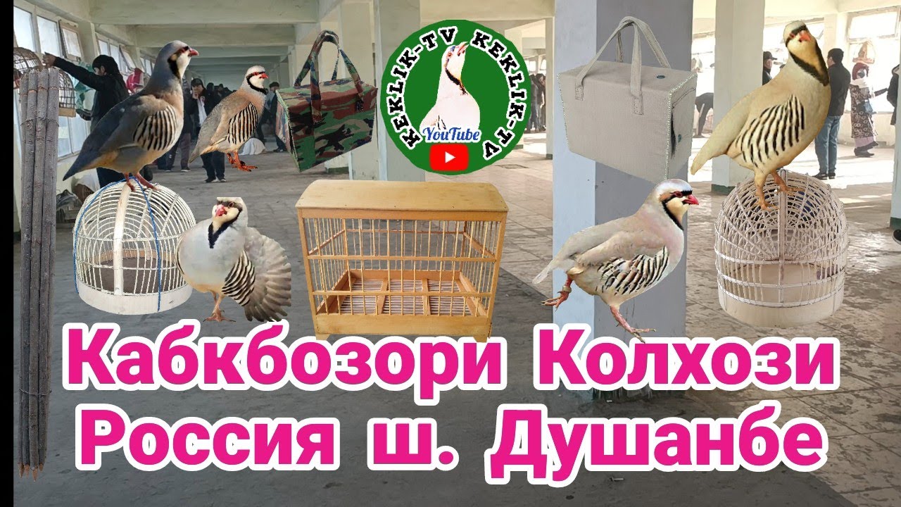 Кабкбозори Колхози Россия ш. Душанбе 25.12.2022