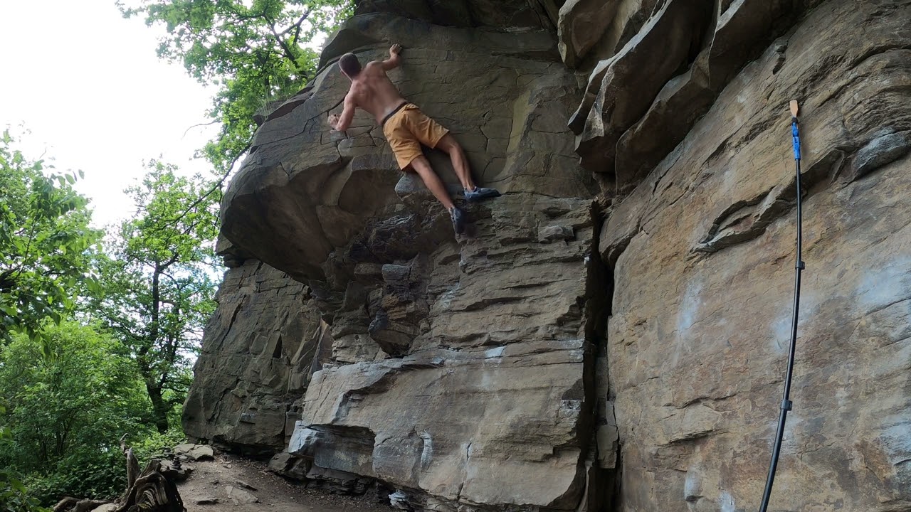 Die Welle, 7A - Kirschblütental, Avalonia