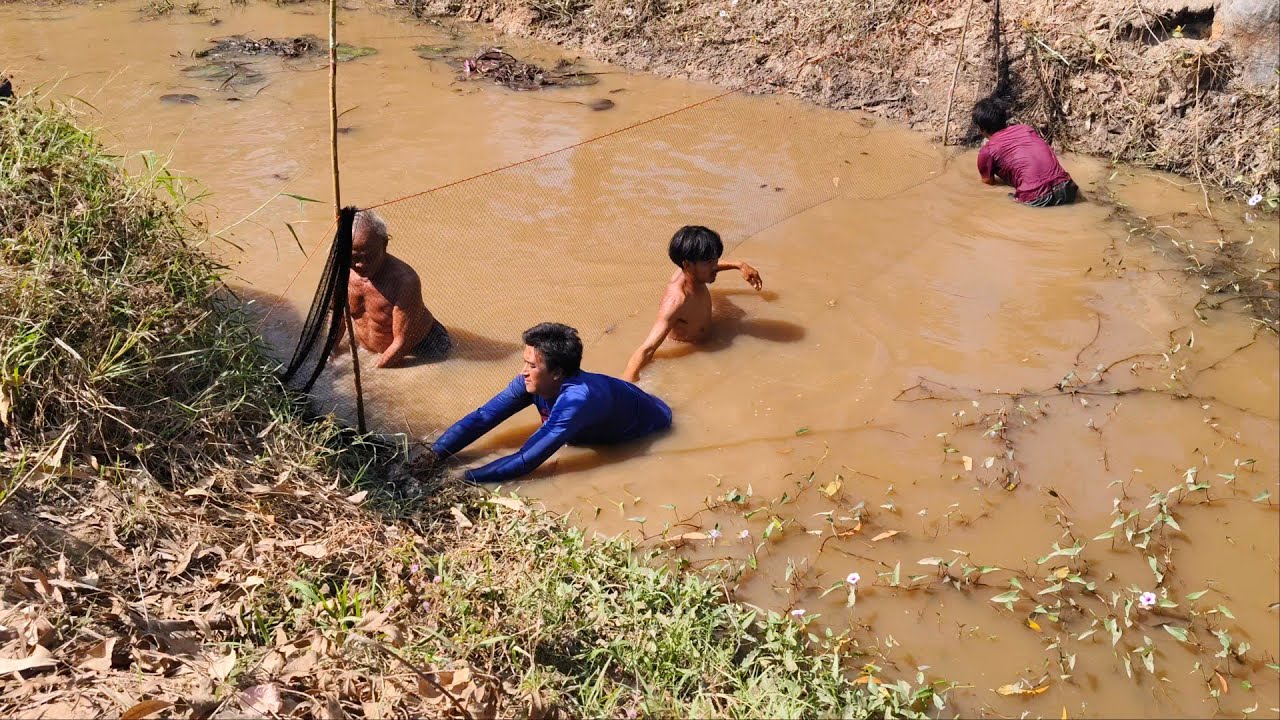 ป้าดด.กัดดางหว่านแหกับทีมงานศราวุธหมานปลาช่อนไซส์โล หว่านอ่าวเดียวได้ปลาเต็มกระชัง#สาวนุ้ยบ้านผือ 