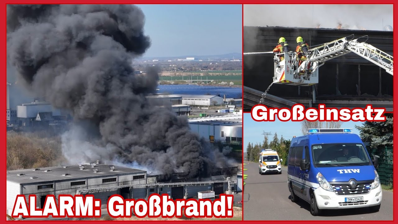 ⚠️Großbrand in Delitzsch🔥RECYCLINGANLAGE IN FLAMMEN🔥Riesige schwarze Rauchwolke🚨Einsatzfahrten🚒