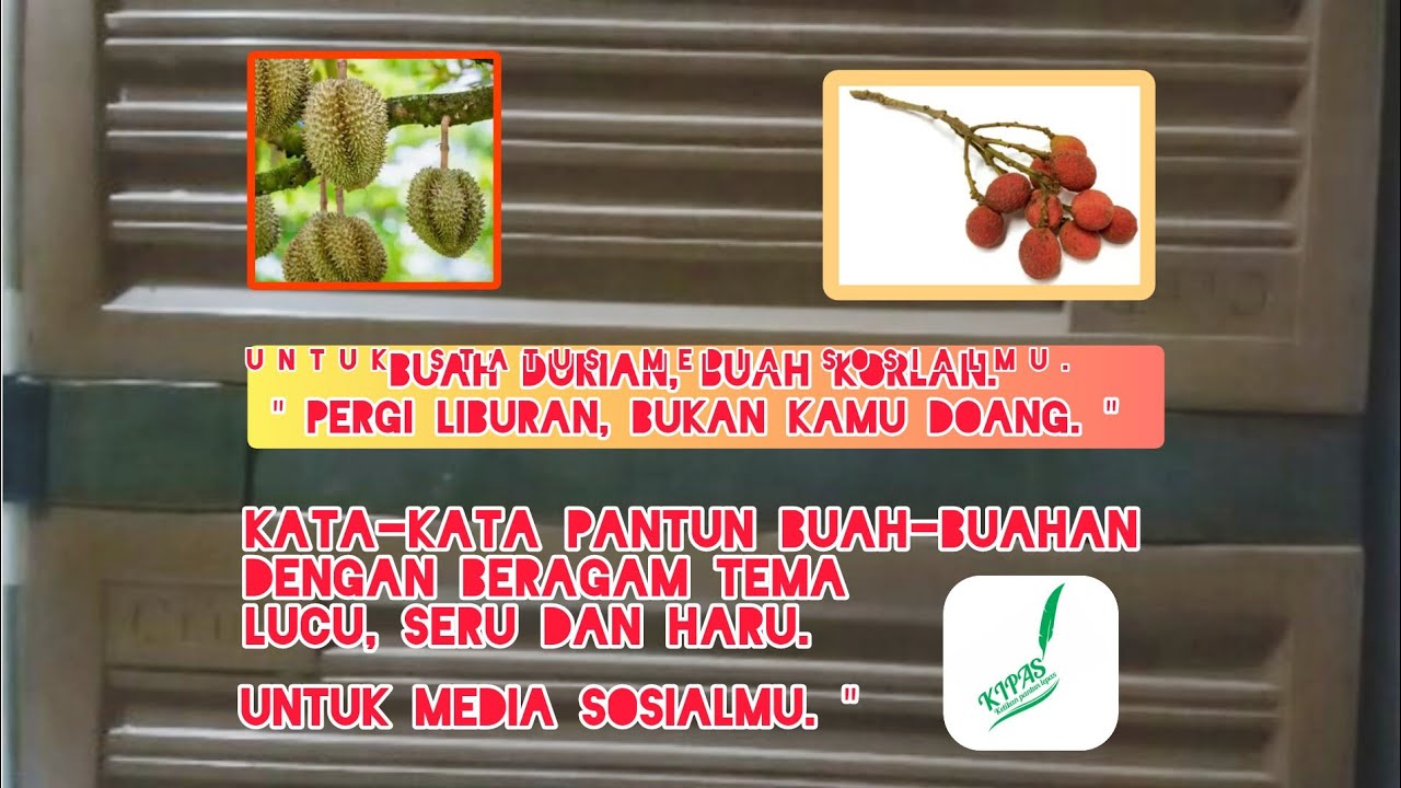 Contoh pantun buah-buahan dengan beragam tema yang lucu dan haru