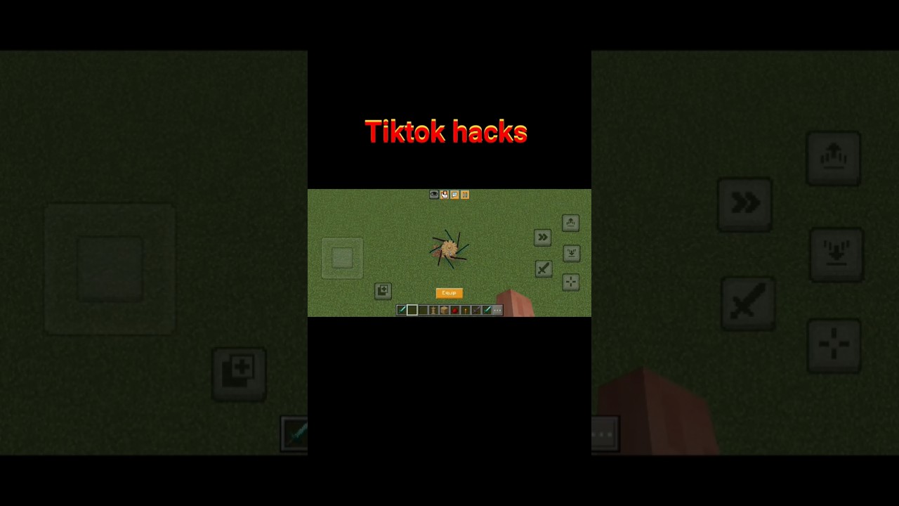 Minecraft Hacks You Didn’t Know! 
