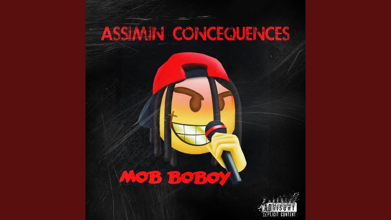 Assimin Concenquences