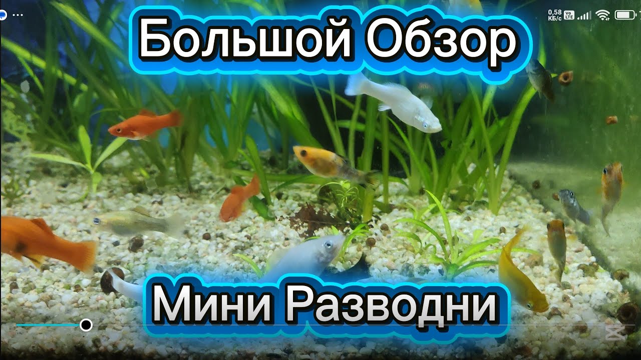 Большой Обзор Мини Разводни 