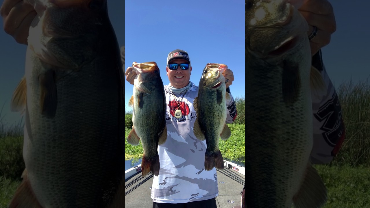 Frogging the CA delta