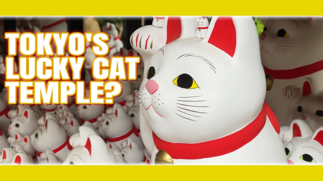 東京の招き猫寺に行ってみた ― 信じられないくらい素晴らしい