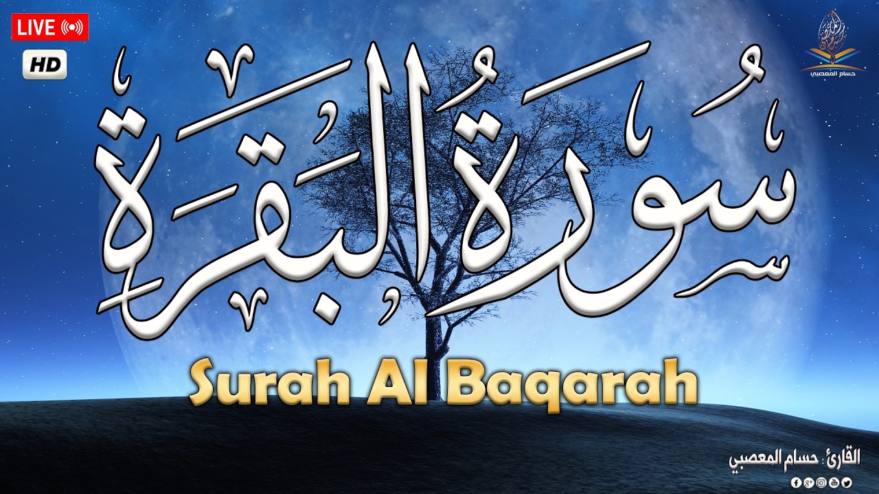 سورة البقرة طاردة الشياطين 💚 قران كريم بصوت جميل ومريح جدا 💚 تلاوة هادئة للنوم والراحة النفسية😴