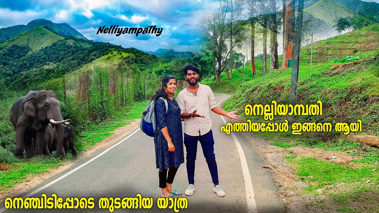 Nelliyampathy the Green Land |Road Trip Experience with wife |Palakkad